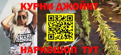 a pvp Дубна