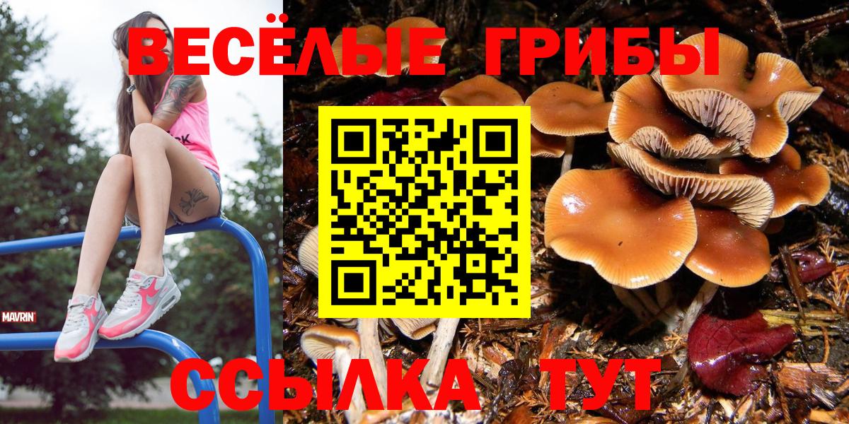 Псилоцибиновые грибы GOLDEN TEACHER  Вход с VPN  Малгобек 